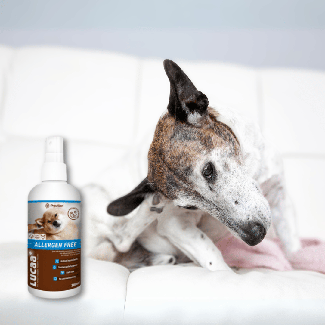 Luccaa+ Pet Probiotic Allergen Free Skin Spray