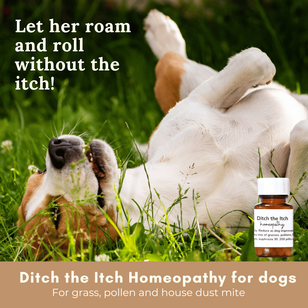 Ditch the itch homeopathy